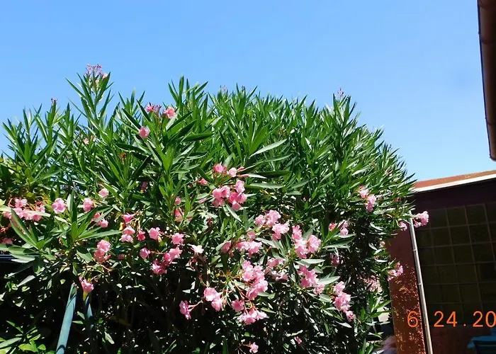 La Garrigue