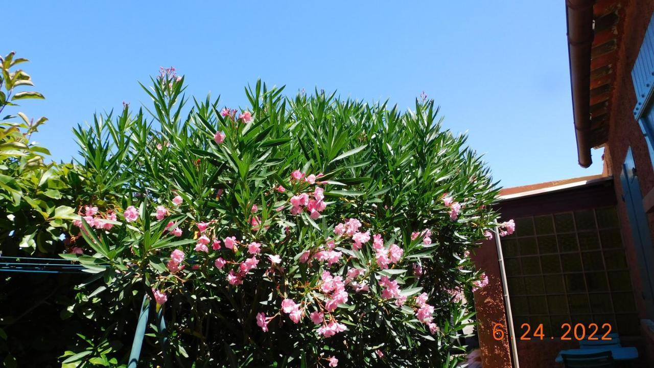 La Garrigue